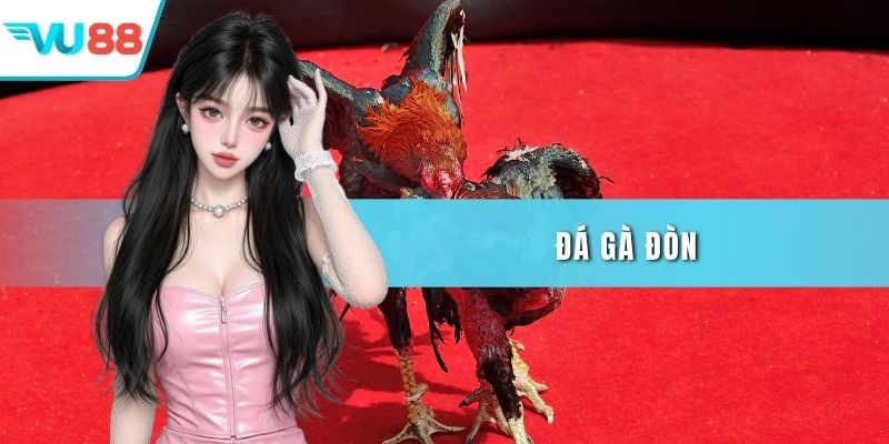 Đá gà đòn